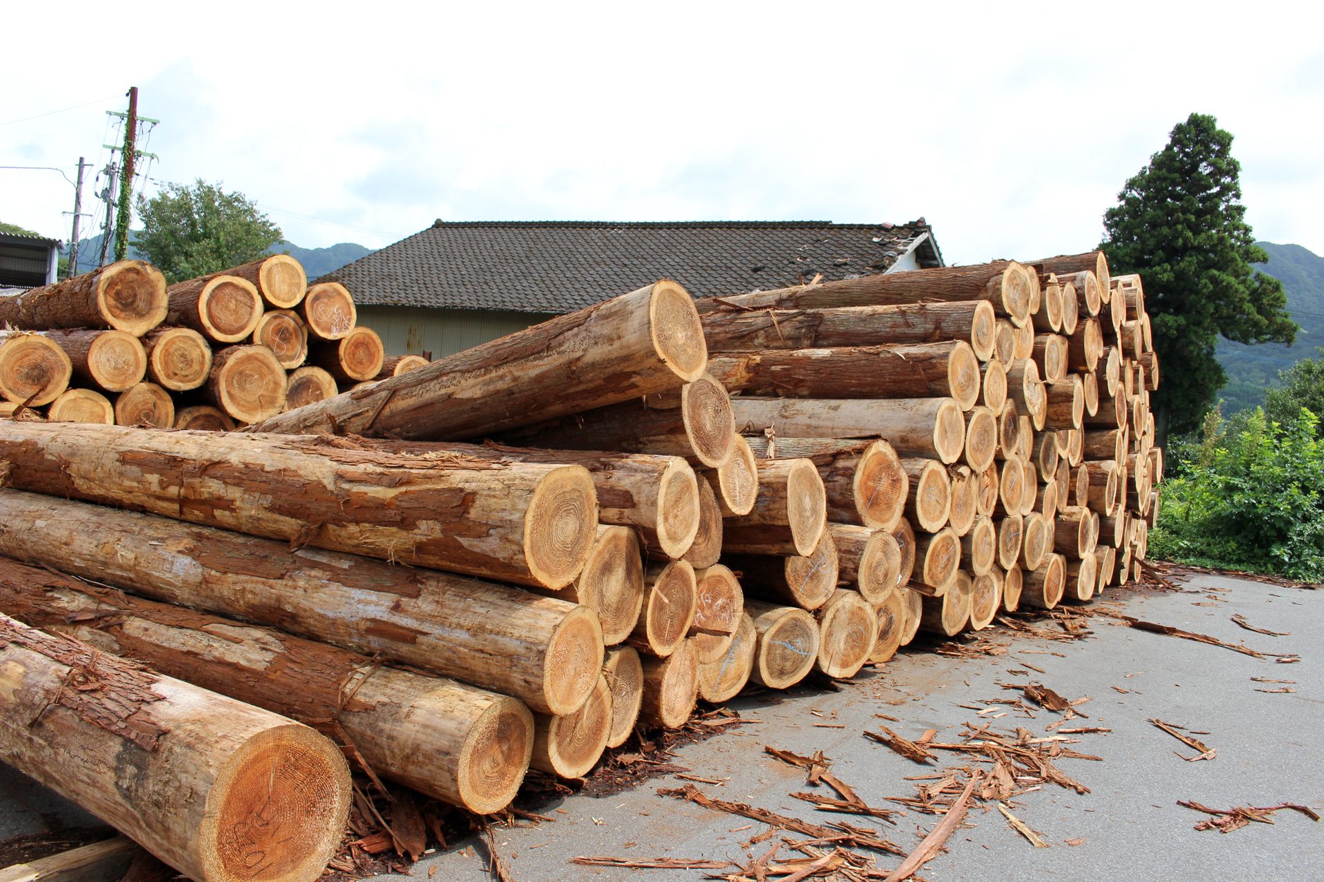 板材・角材・羽柄材など南阿蘇で木製品製材は有限会社清水へご依頼ください。